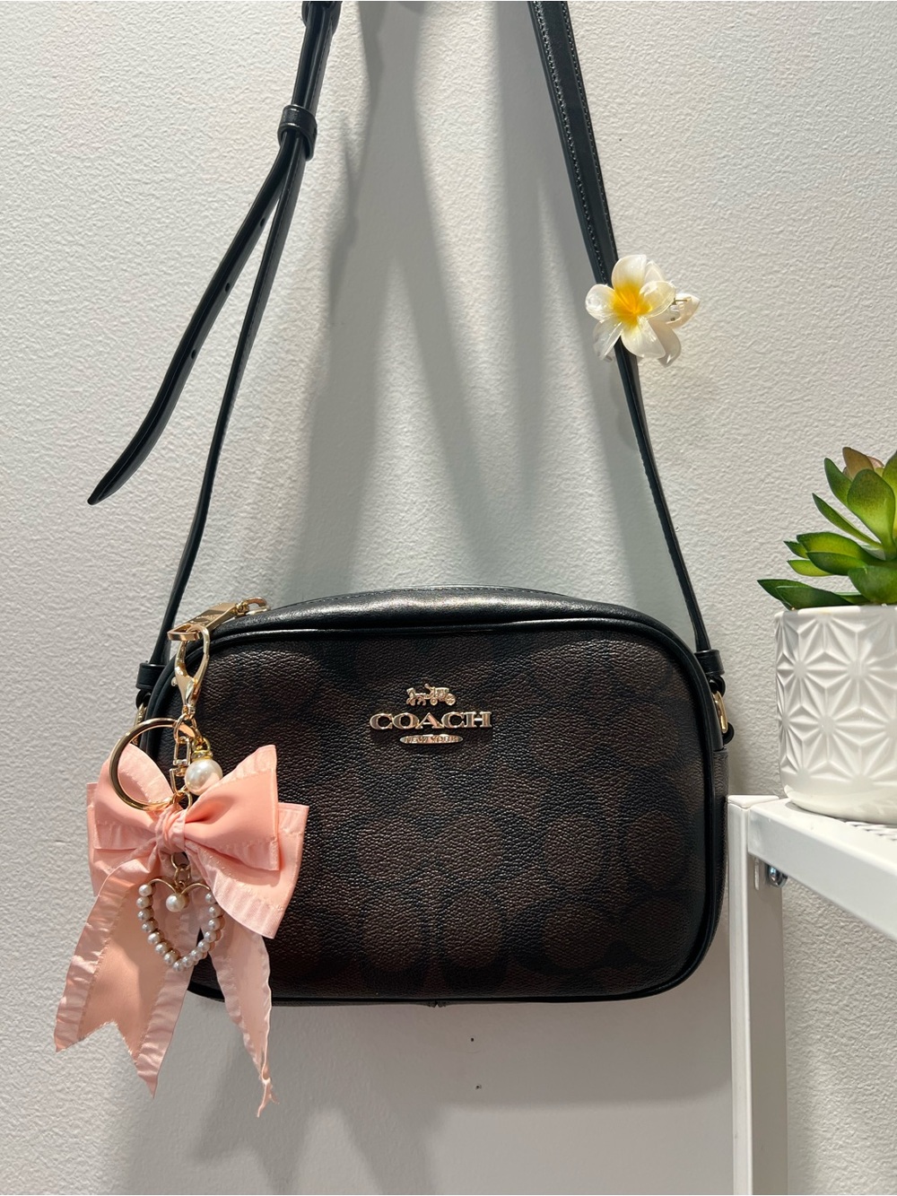 Coach Brown Signature Crossbody Bag